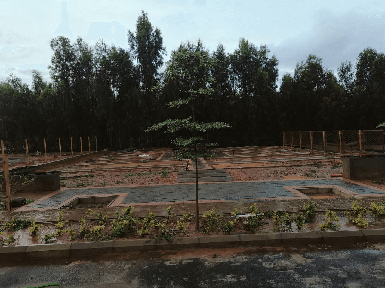 Park 01 Kitchen Garden